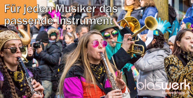 https://www.blaswerkhaagshop.ch/blechblasinstrumente/occasionen-blechblasinstrumente/