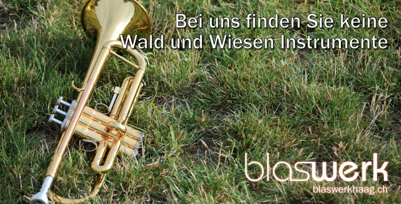https://www.blaswerkhaagshop.ch/blechblasinstrumente/